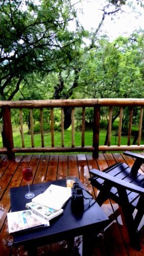 Enjoy the birds and the scenery in this enchanting garden