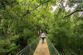 Graskop Gorge lift walk
